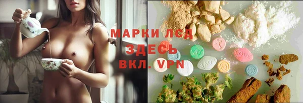 гашик Волосово