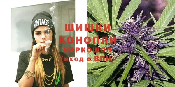 стаф Бронницы