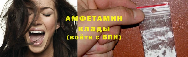 прущие грибы Бугульма